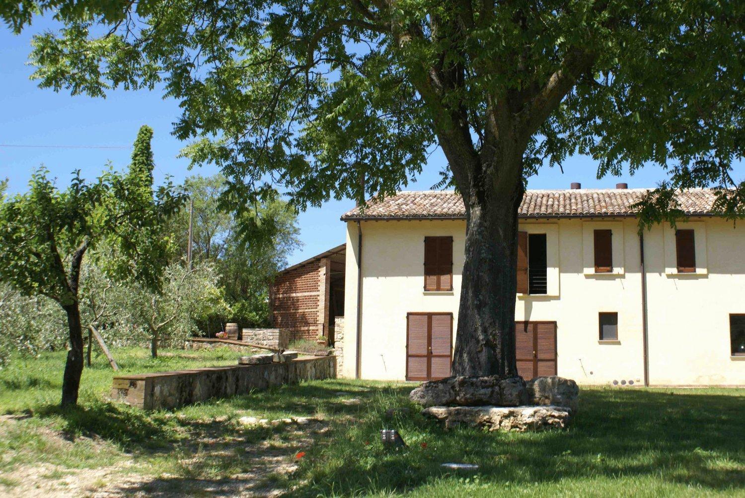 La Perticara Agriturismo Acquasparta ภายนอก รูปภาพ