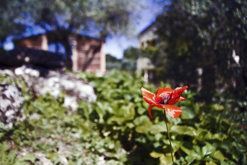 La Perticara Agriturismo Acquasparta ภายนอก รูปภาพ